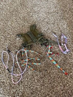 Cat harnesses with matching leashes